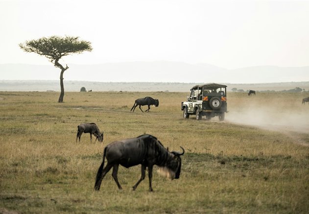 Safari in the Maasai Mara