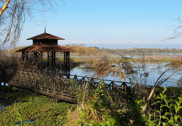 Lake Naivasha
